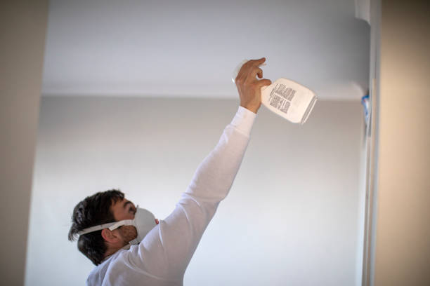 Best Attic Mold Removal  in Dawson, GA