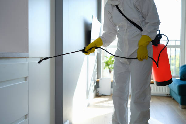 Best Mold Damage Repair  in Dawson, GA