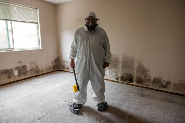 Mold Removal Process in Dawson, GA